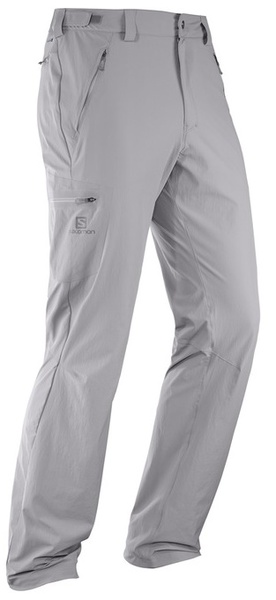 Salomon Wayfarer Pant M 393135