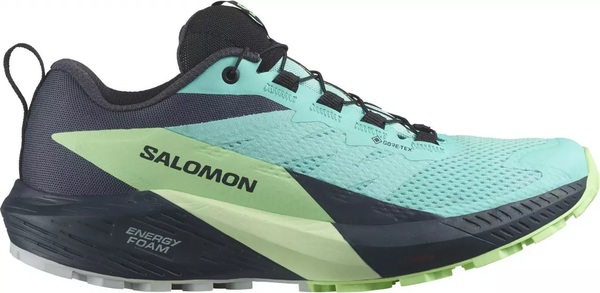 Dámské trailové běžecké boty Salomon Sense Ride 5 GTX W Gore-tex L47216000 24/25