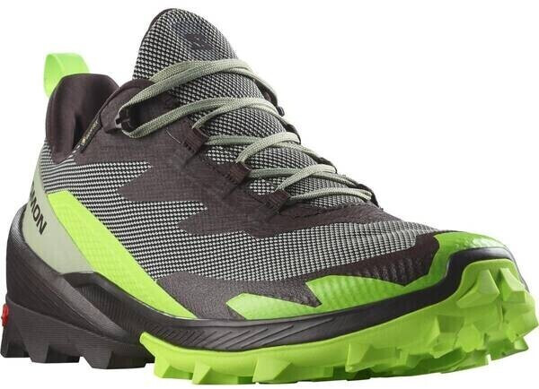 Trekové Boty Salomon Cross Over GTX Gore-tex 2 Desert Sage/Green Gecko/Chocolate Plum L47268600 24/25