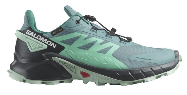 Trailové běžecké boty Salomon Supercross 4 GTX Gore-tex W L47316900 Dusty Turquoise/India Ink/Blue Haze 24/25