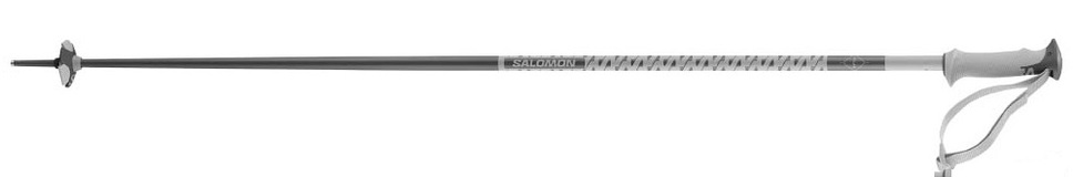 Sjezdové hole Salomon Polar Grey Violet L47631200 24/25